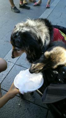 moblog_e2f8f29c.jpg