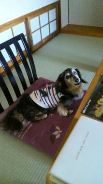 moblog_e689c5e9.jpg