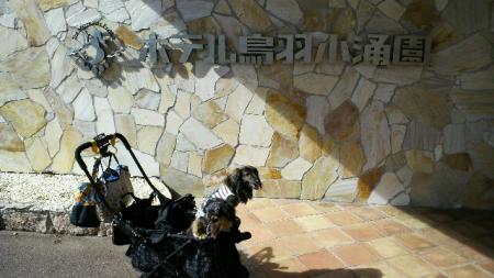 moblog_e6e3a522.jpg