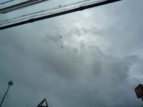 20120814172947.jpg