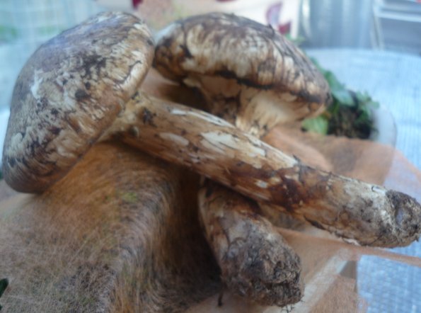 20120903162004.jpg