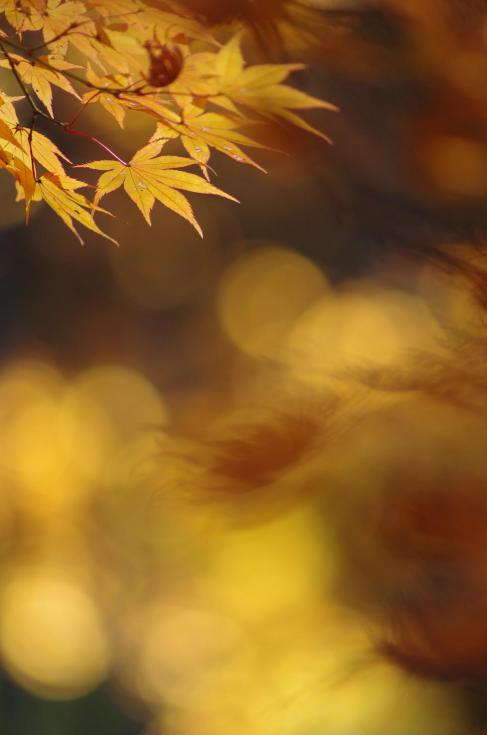 11_20121117195856.jpg