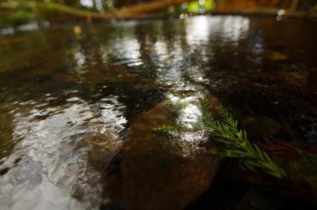 12_20130103212715.jpg