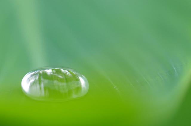 5雨の忘れ物