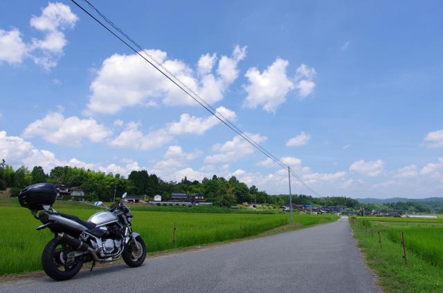 12田園風景と夏の空