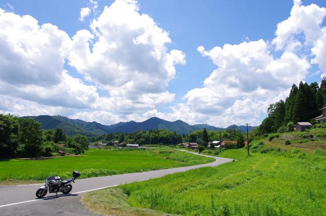 8緑に包まれて