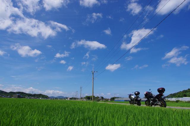 10田園の中の2台