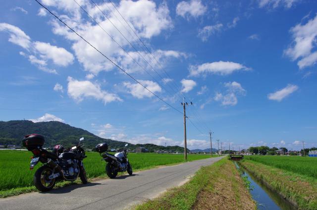 9田園の中から