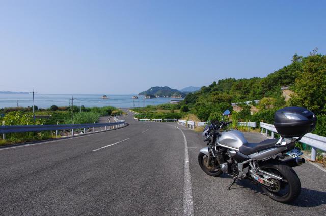 3みかん畑の中のBandit