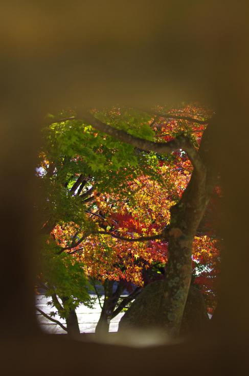 13覗~紅葉~