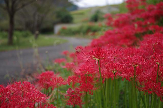 7_20120930133004.jpg