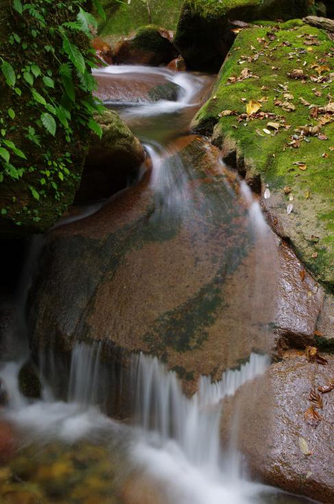 7_20121014210714.jpg