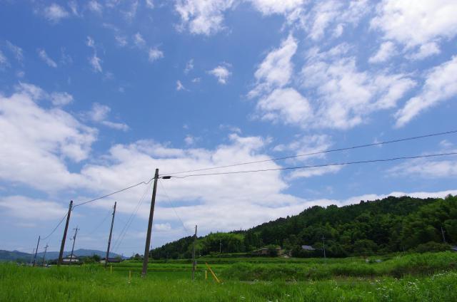 IMGP6552.jpg