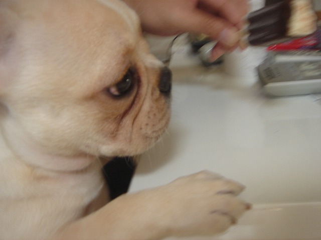 DSC05267.jpg
