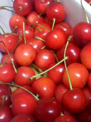 2012070822190000.jpg