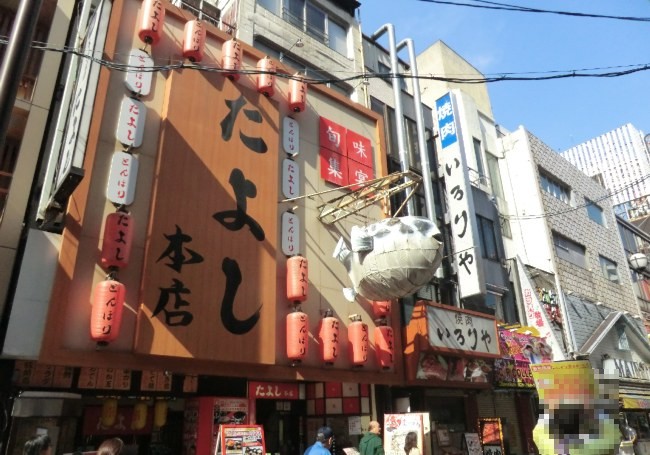 でっかい、フグがぶら下がっている 10