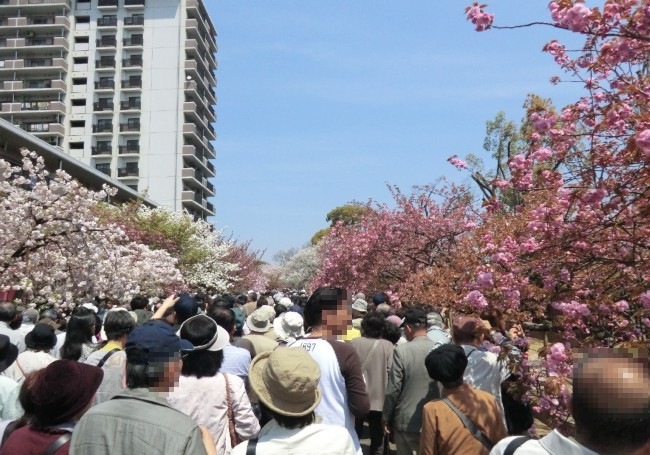 何処から、来られたのでしょう、はい、福岡からです 11