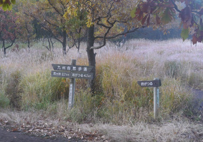 画像-1 タデ原湿原の奥に、登山口の標識が。ここで、引き返します