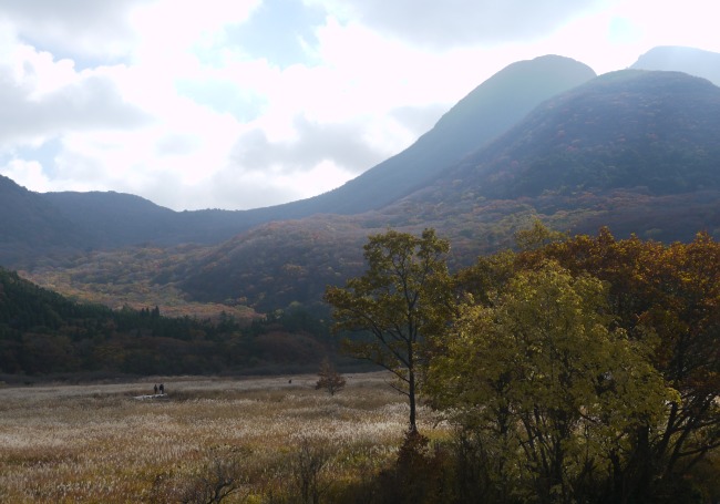 画像-15 タデ原湿原