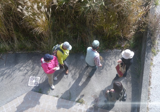 画像-23 ビジターセンターでは、自然観察会行われていました、時間があったら、参加したかった