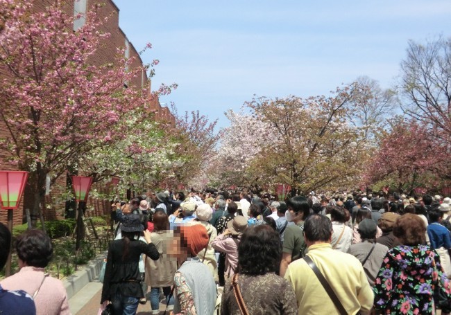 もう、中程まで、歩いてきたでしょうか 13