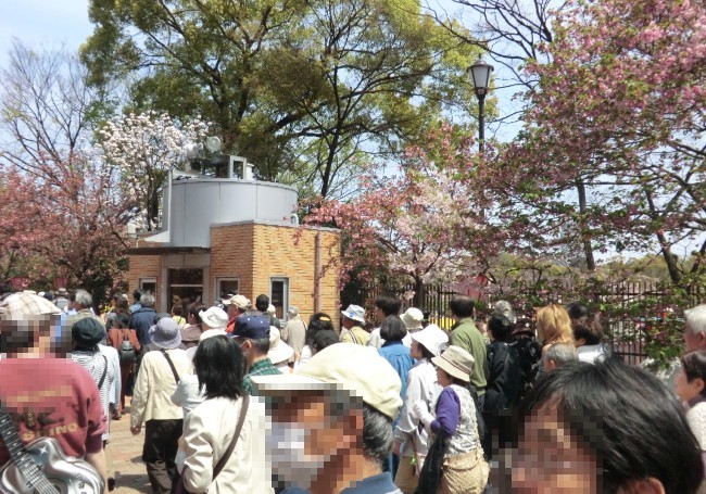 もうすぐ、終点の北門が近づきました 14