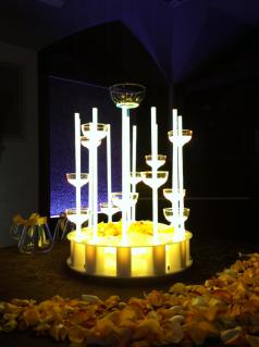 IMG_2281.jpg
