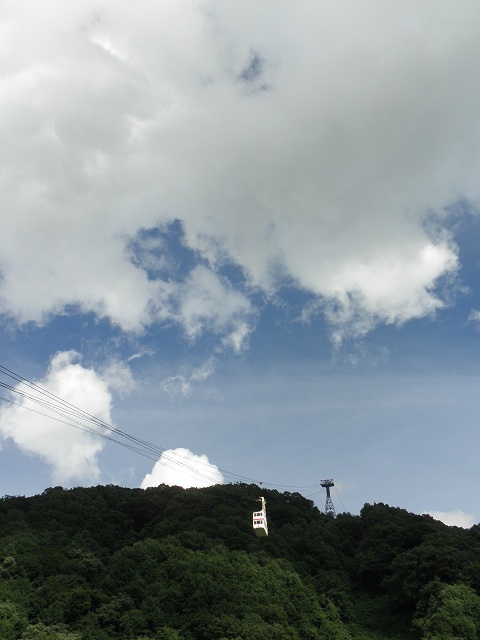 P7171064_2.jpg