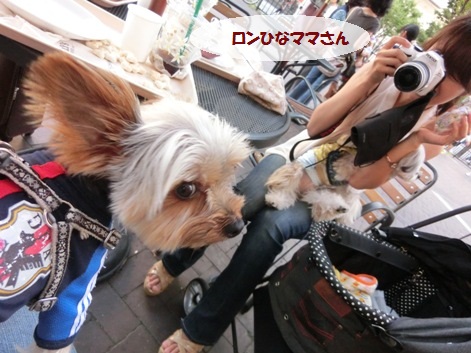 2012090901.jpg