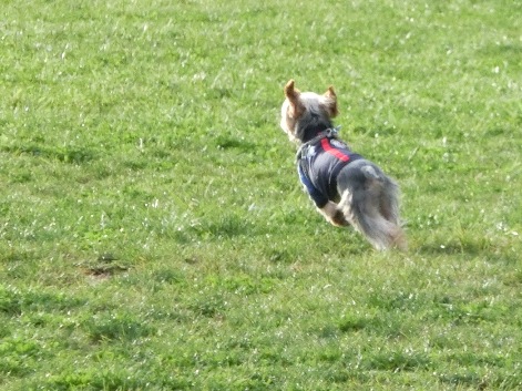 2012101311.jpg