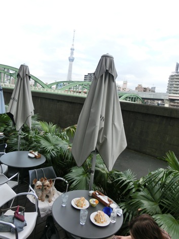 2012102506.jpg