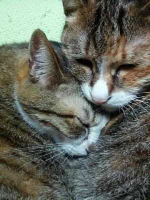 IMG_20120818_183134.jpg