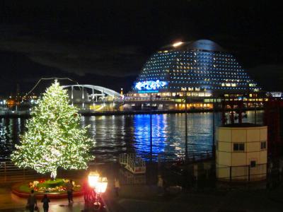 IMG_2561.jpg