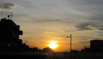 2010-01-03 024