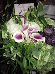 IMG_2273.jpg
