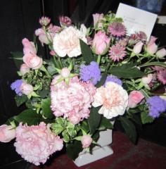 IMG_2274.jpg