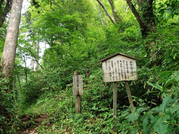 房住山3
