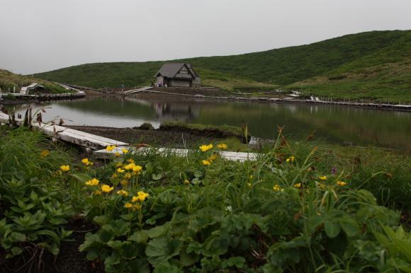 阿弥陀池小屋