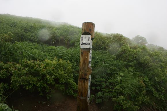 笹森山頂分岐1