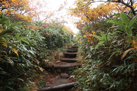 トンネル