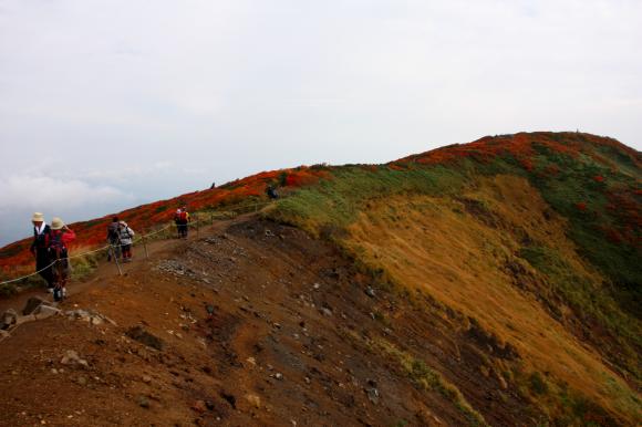 山頂尾根5