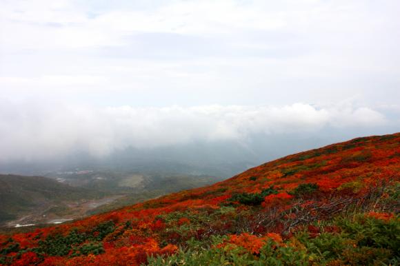 山頂尾根7