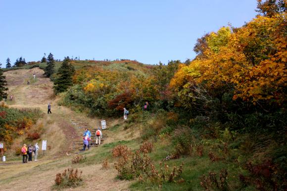 ゴンゴラ登山客