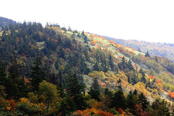 石森山頂3