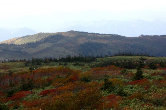 山頂4