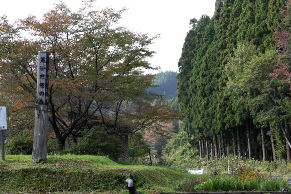 毘沙門の森1