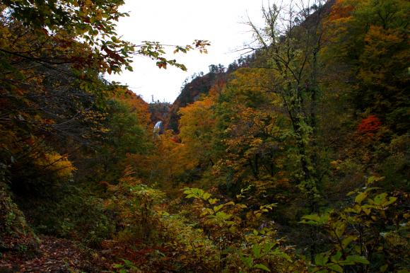 登山道7