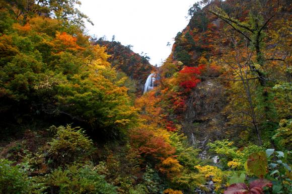 登山道8