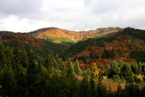 房住山2012_11_09