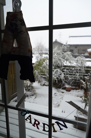 庭の雪